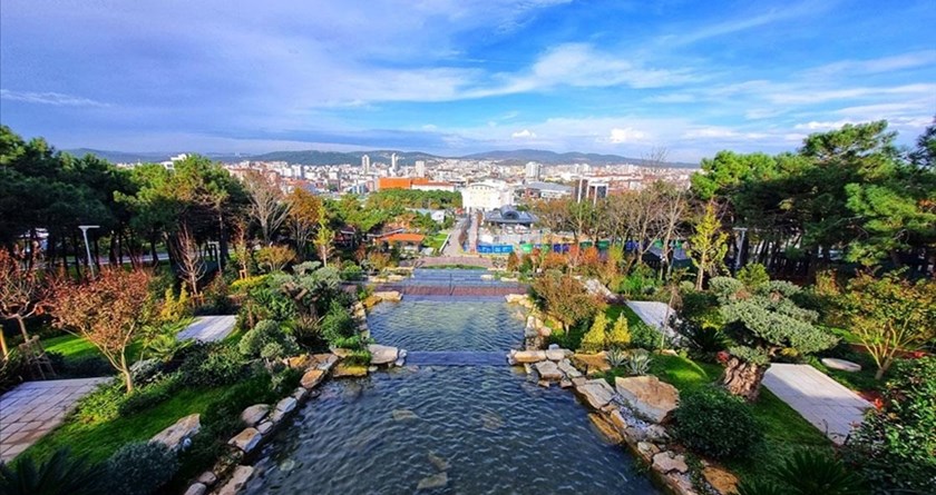 blog_img